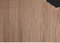 Photo Texture of Cardboard 0010